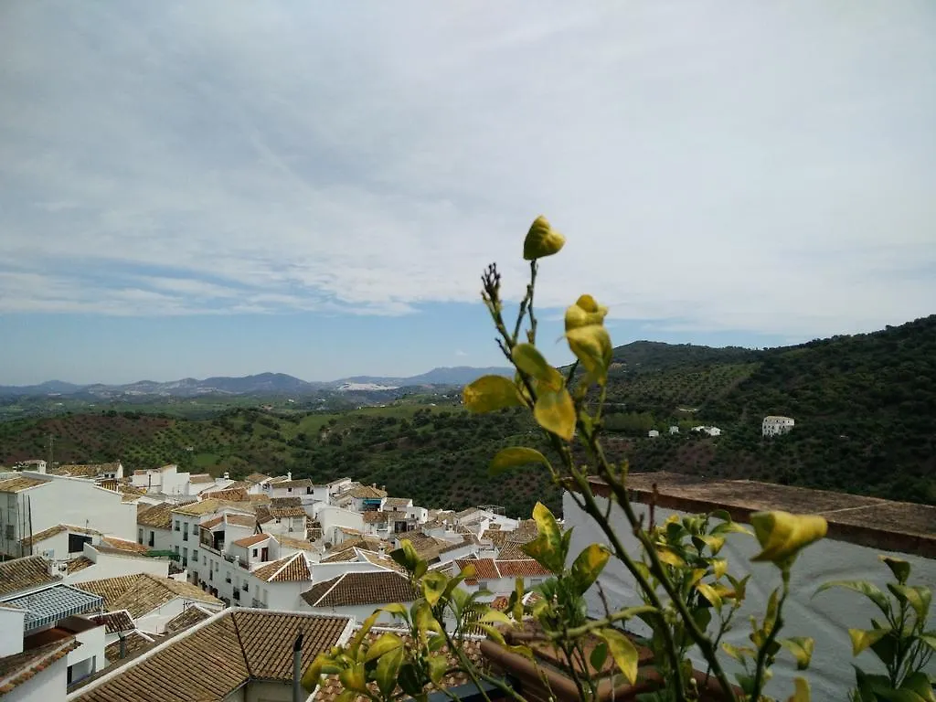 Los Cazadores Bed & Breakfast El Gastor